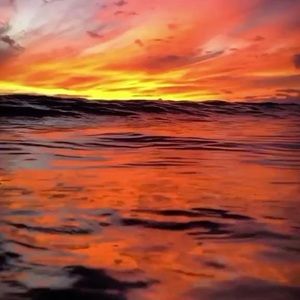 Meet your Posher, Mya